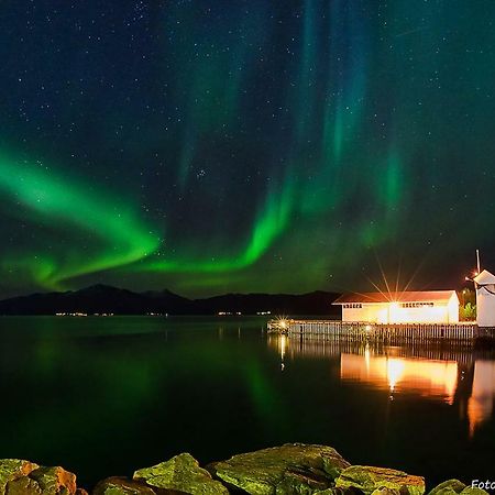 Lofoten Gate Hostel Lodingen Kültér fotó